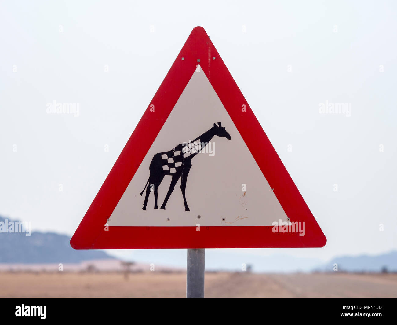 Africa, Namibia, traffic sign, caution label, giraffe Stock Photo Alamy