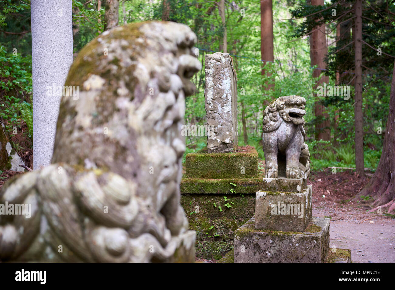 AUn komainu statues at the bottom of stairway leading to Towada Shinto