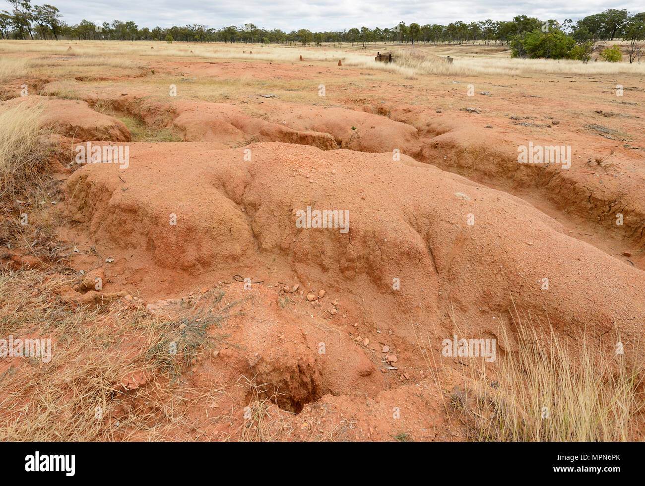 Deeply eroded red soil, Almaden, Far North Queensland, FNQ, QLD, Australia Stock Photo