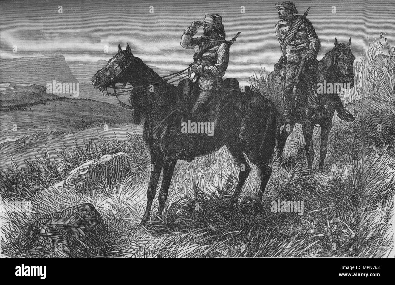 South african light horse hires stock photography and images Alamy