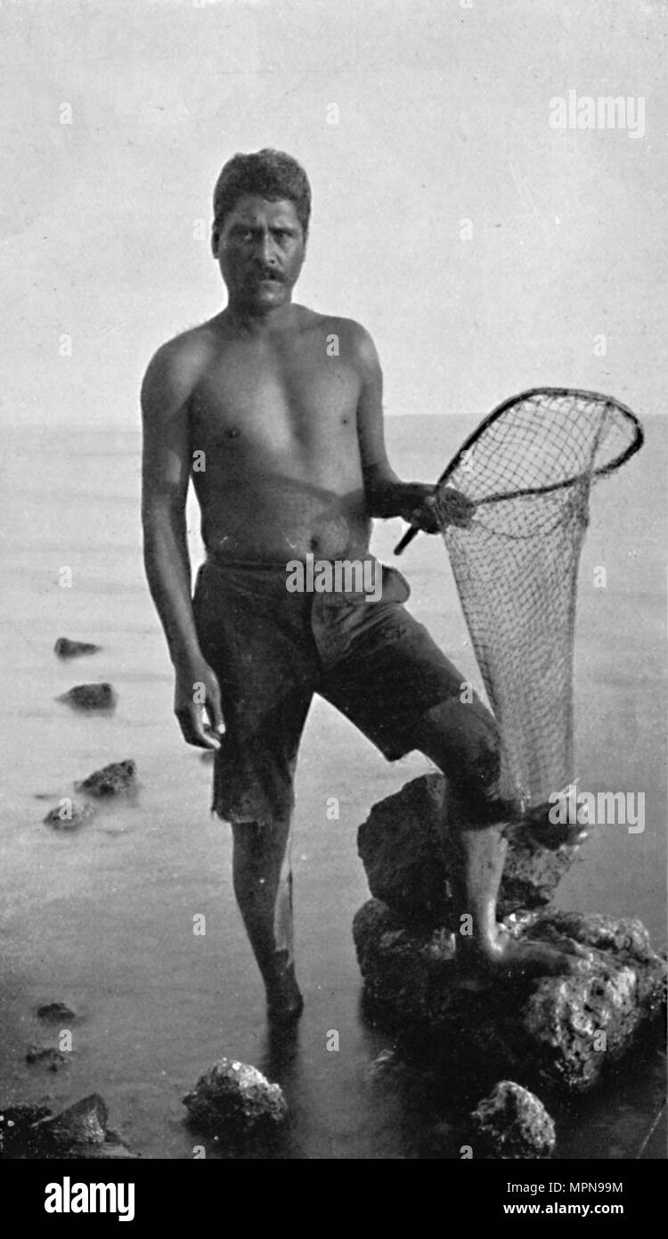 A native shrimper, Hawaii, with his net, 1902. Artist: Unknown. Stock Photo