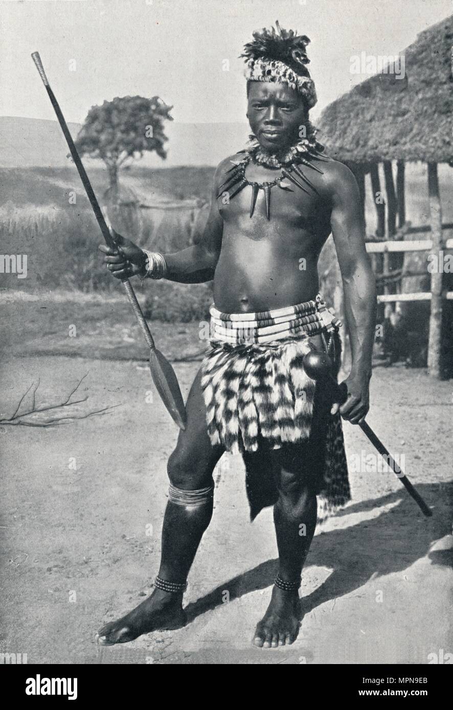 A Zulu chief, 1902. Artist: Unknown. Stock Photo