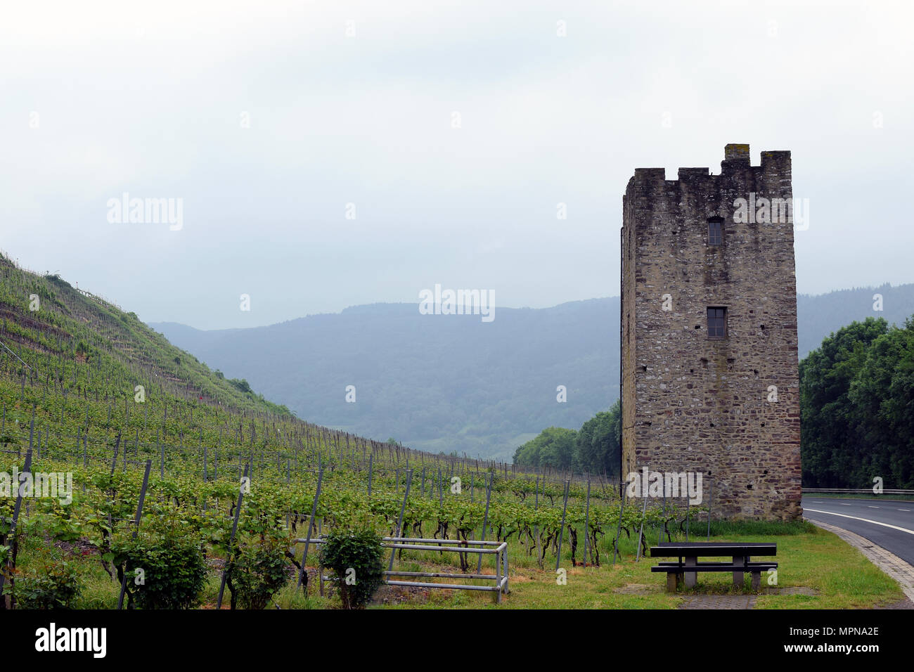 Vineyards in Moselle Valley, Germany. Stock Photo