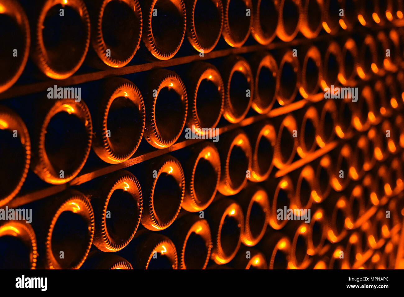 Champagne bottles in wine cellar Stock Photo Alamy