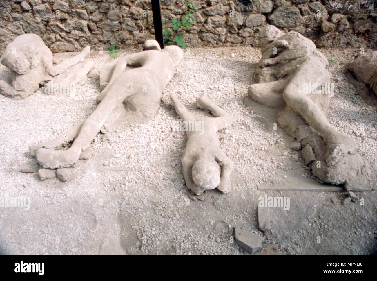 Pompeii Victims Stock Photos Pompeii Victims Stock 