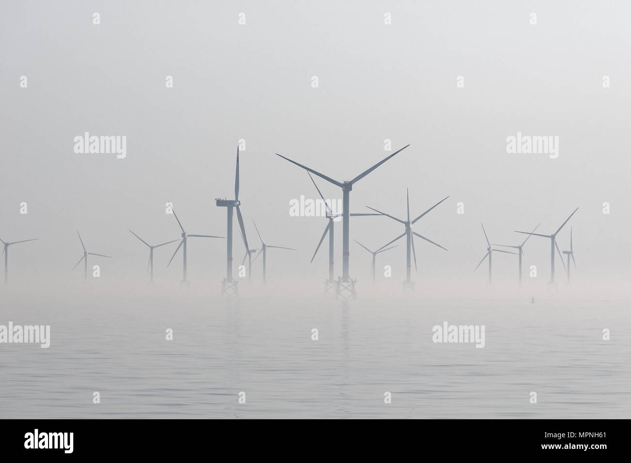 Wind Turbines in the Thornton Bank Phase 2 offshore wind farm in the  Belgian sector of the North Sea Stock Photo - Alamy