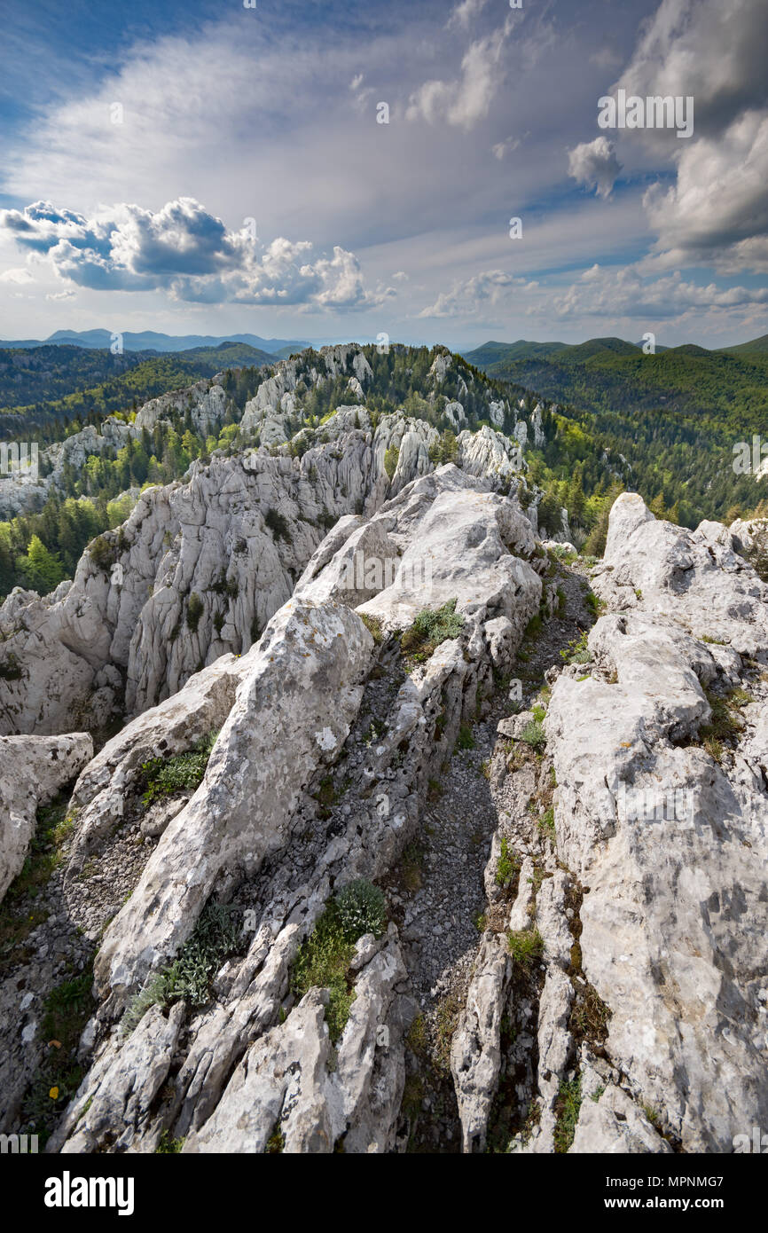 Hiking through the rugged karst landscape of eroded limestone peaks surrounded by forest, in Bijele stijene natural reserve, Croatia Stock Photo