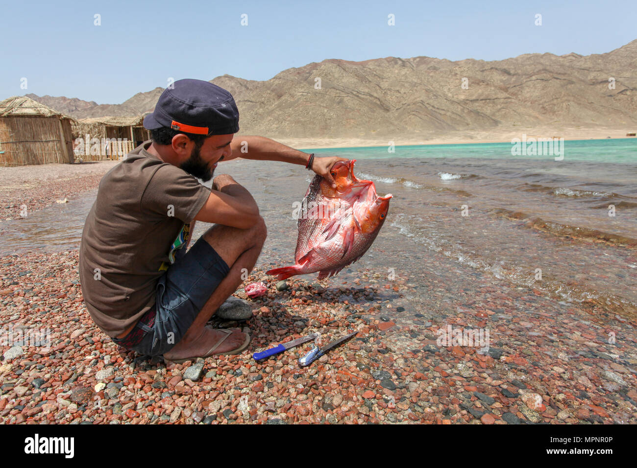 Young male tourist cleaning a fresh fish at the Blue Lagoon resort, (Dahab), Sinai, Egypt Stock Photo