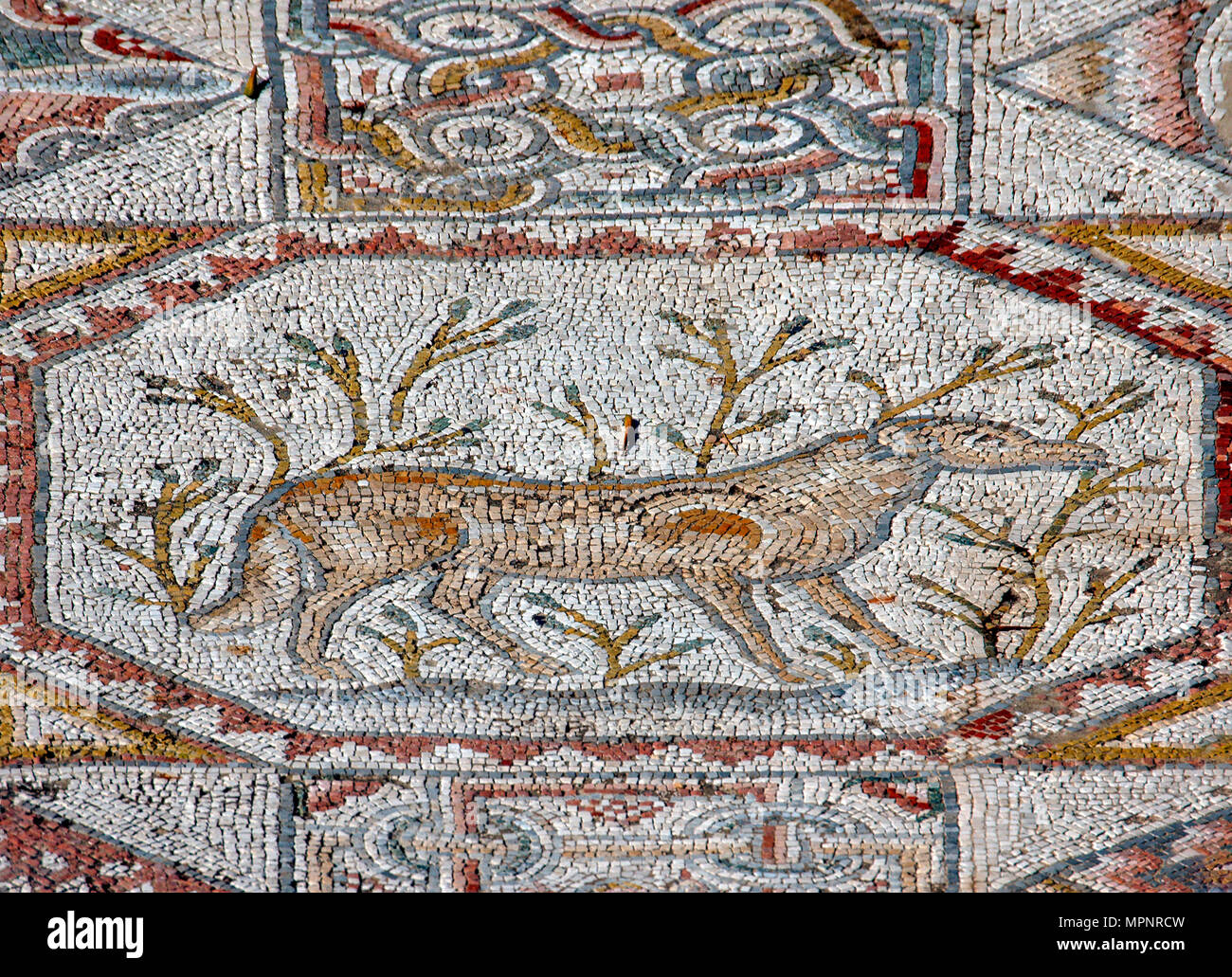 Segment of a mosaic floor of a monastery in bet guvrin, Israel, 6th century CE. depicting a hunting scene. From the Eretz Israel Museum AKA Haartz Mus Stock Photo