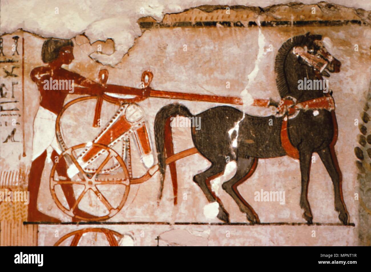 Egyptian Wallpainting from the Tomb of Nebanmun at Thebes, c1400 BC. Chariot and Attendant Artist: Unknown. Stock Photo