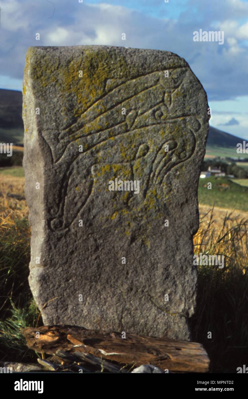 Rhynie-Crawstone, Pictish incised Animals, Aberdeenshire, c5th century-c8th century. Artist: Unknown. Stock Photo