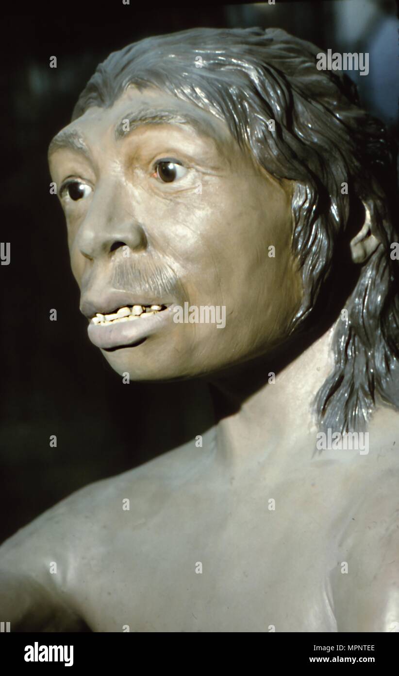 Neanderthal Woman: Reconstruction at British Museum, National History, c20th century. Artist: Unknown. Stock Photo