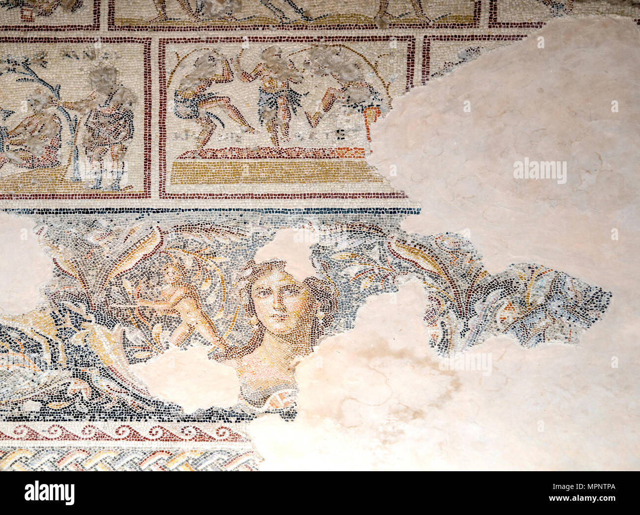Dionysus Mosaic, Mosaic floor of the roman villa The 'Mona Lisa of the Galilee'. Israel, Lower Galilee, Zippori National Park The city of Zippori (Sep Stock Photo