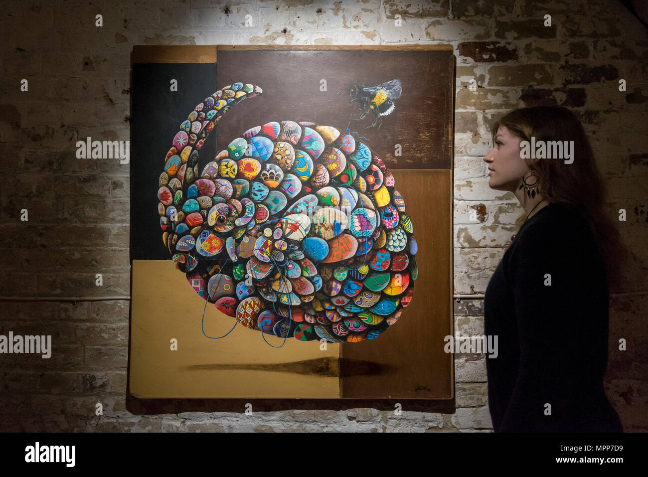 London, UK.  24 May 2018. An assistant views a painting of a Chinese pangolin at the preview of "Missing" an exhibition by artist and environmentalist Louis Masai at the Crypt Gallery in Euston.  The exhibition features sculptures, installations and paintings depicting 20 endangered species across the world from the South African penguin to the humble bumble bee.  The show runs 25 to 27 May 2018.  Credit: Stephen Chung / Alamy Live News Stock Photo