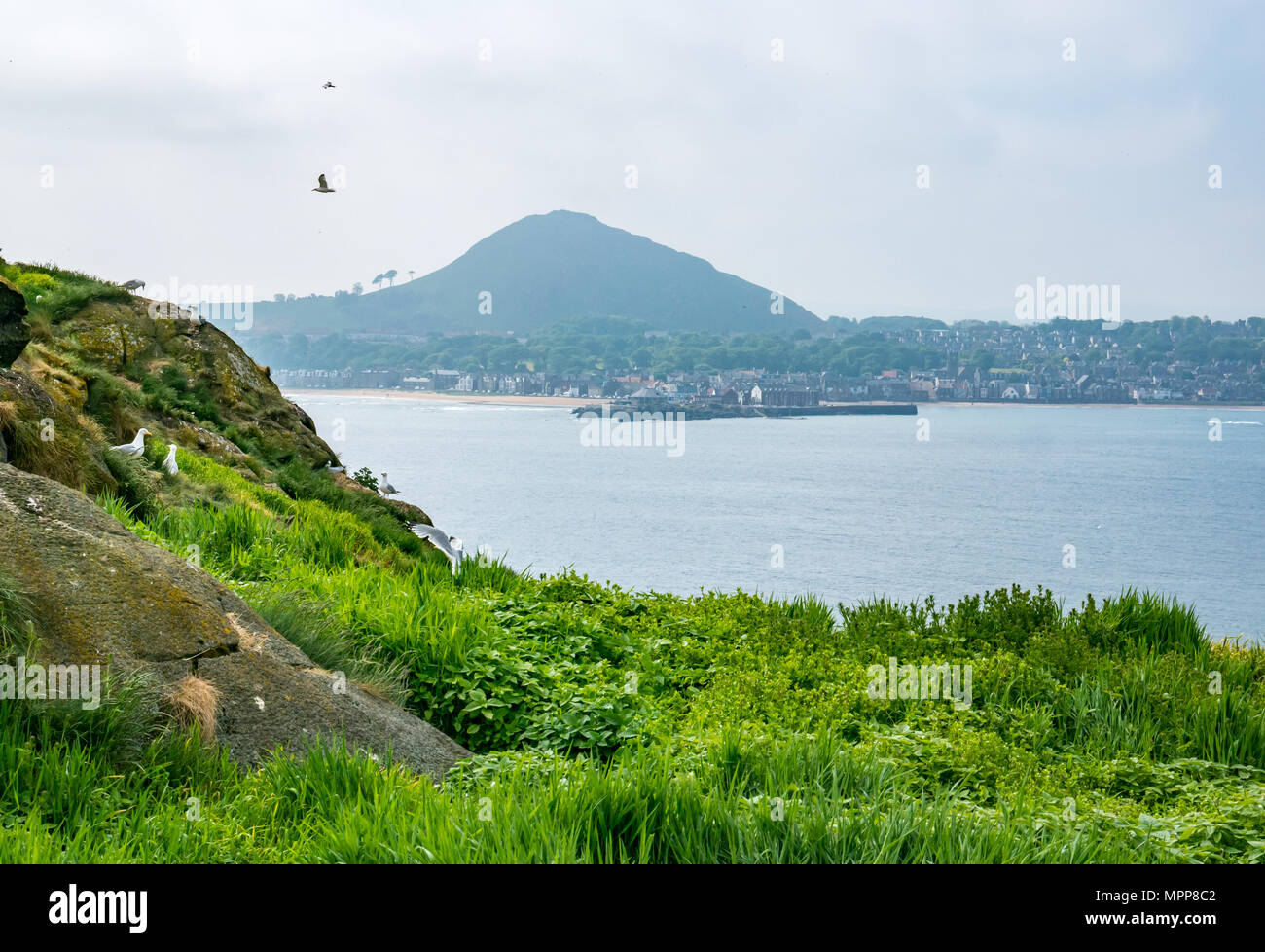 Misty law hi-res stock photography and images - Alamy
