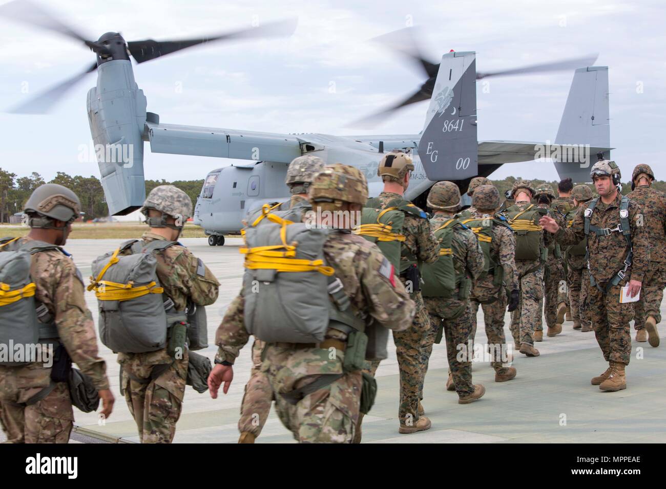 Marines and Soldiers board an MV-22B Osprey during an air-drop delivery jump exercise at Marine Corps Auxiliary Landing Field Bogue, N.C., March 27, 2017. The training was part of field exercise Bold Bronco 17, which allowed the Marines to demonstrate their transportation support skills in various environments. The Marines are with 2nd Transportation Support Battalion, 2nd Marine Logistics Group and the Soldiers are with 647th Quartermaster Company, 3rd Expeditionary Sustainment Command. (U.S. Marine Corps photo by Sgt. Clemente C. Garcia) Stock Photo