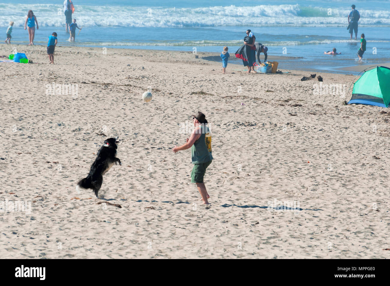 Lincoln City, Oregon, USA - August 21, 2015:  Man and his dog play ball on a beach. Stock Photo