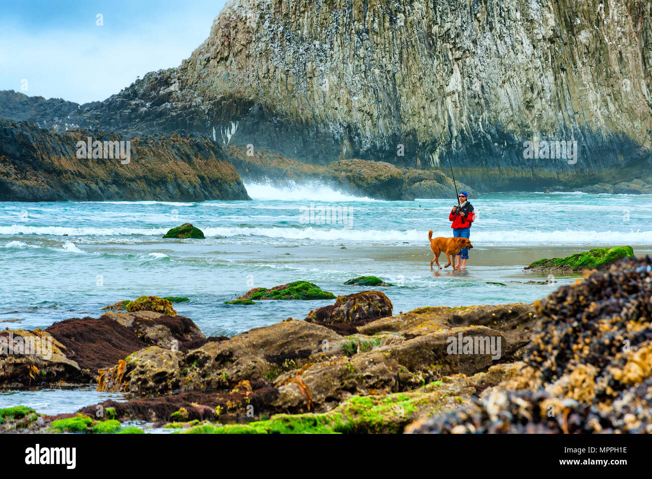 Seal Rock, Oregon,USA - May 3, 2016A lady fisherman fishes the surf at Seal Rock Beach while her dog plays in the incoming waves on the Oregon Coast. Stock Photo