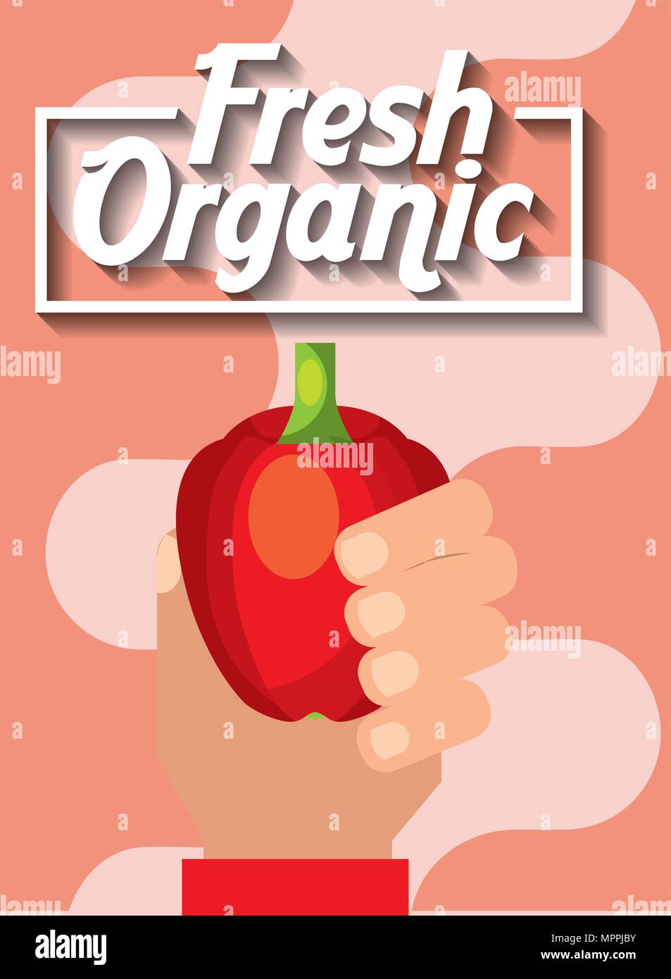 hand holding vegetable fresh organic pepper vector illustration Stock ...