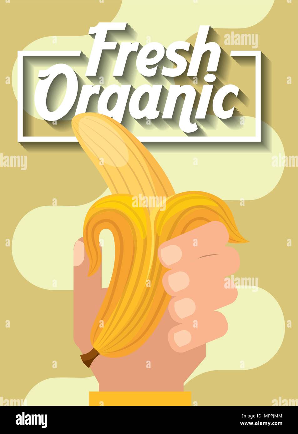 hand holding fresh organic fruit banana vector illustration Stock Vector