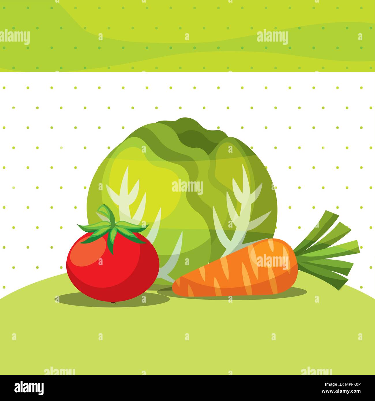 vegetables fresh organic healthy lettuce carrot tomato vector ...