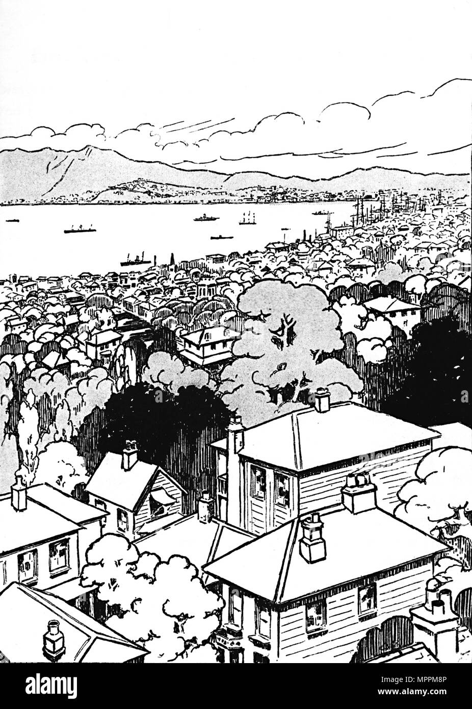 'Wellington', 1912. Artist: Charles Robinson. Stock Photo
