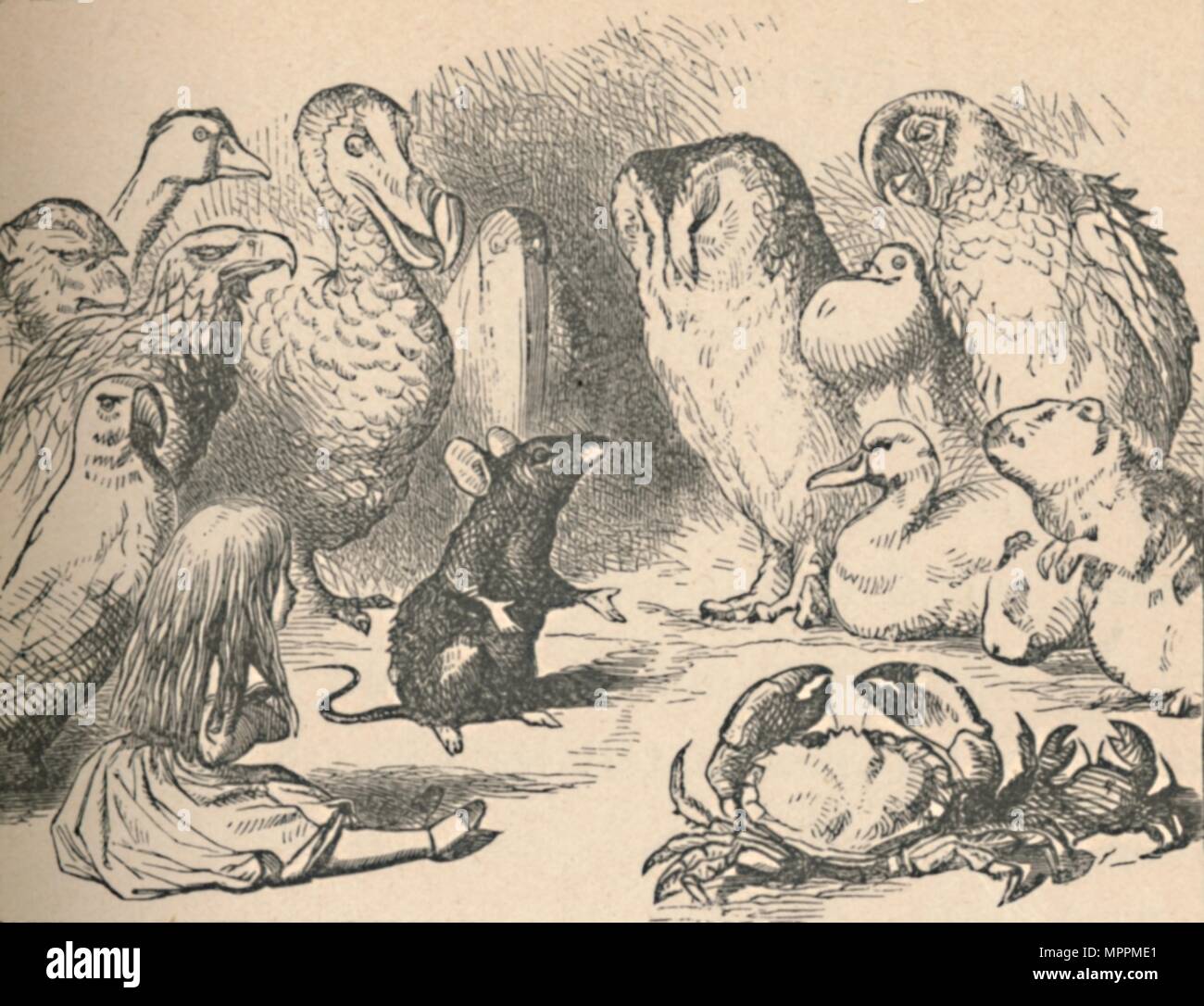 'Illustration for the chapter 'a Caucus-Race and a long tail'. Alice and various creatures, such as  Artist: John Tenniel. Stock Photo