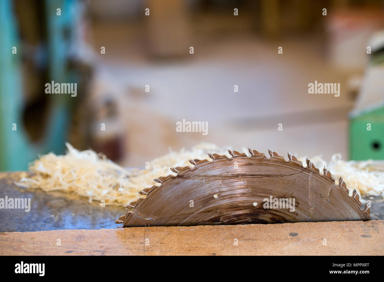 Carpenter tools on wooden table with sawdust. Circular Saw. Cutting a wooden plank Stock Photo