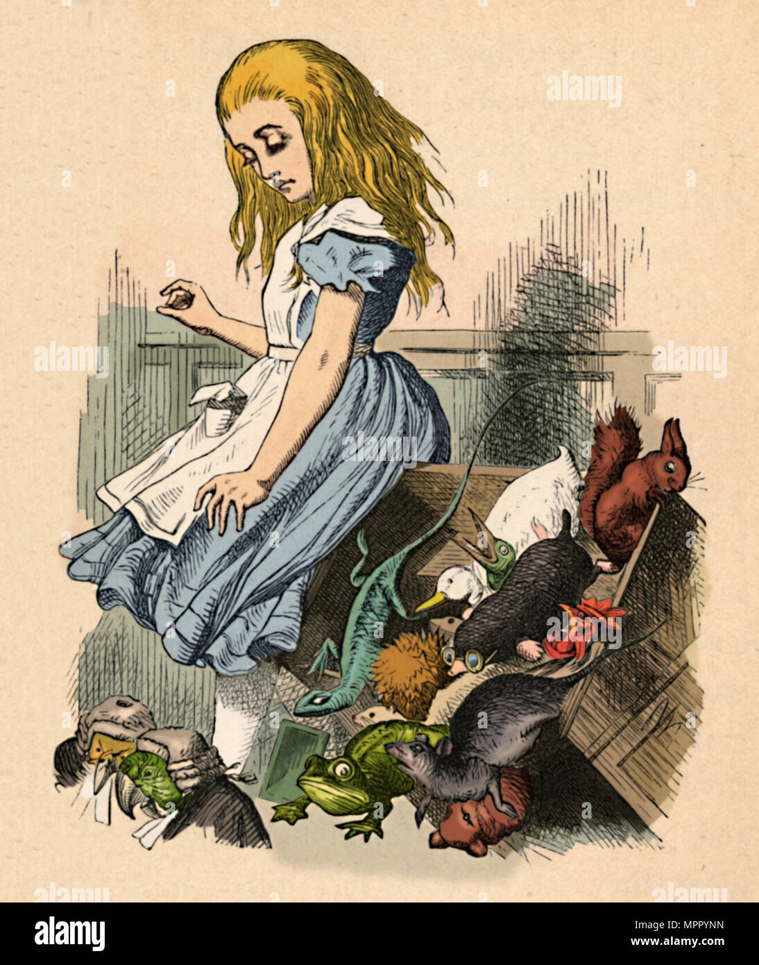 'Alice and animals. Chaos and the court', 1889. Artist: John Tenniel. Stock Photo