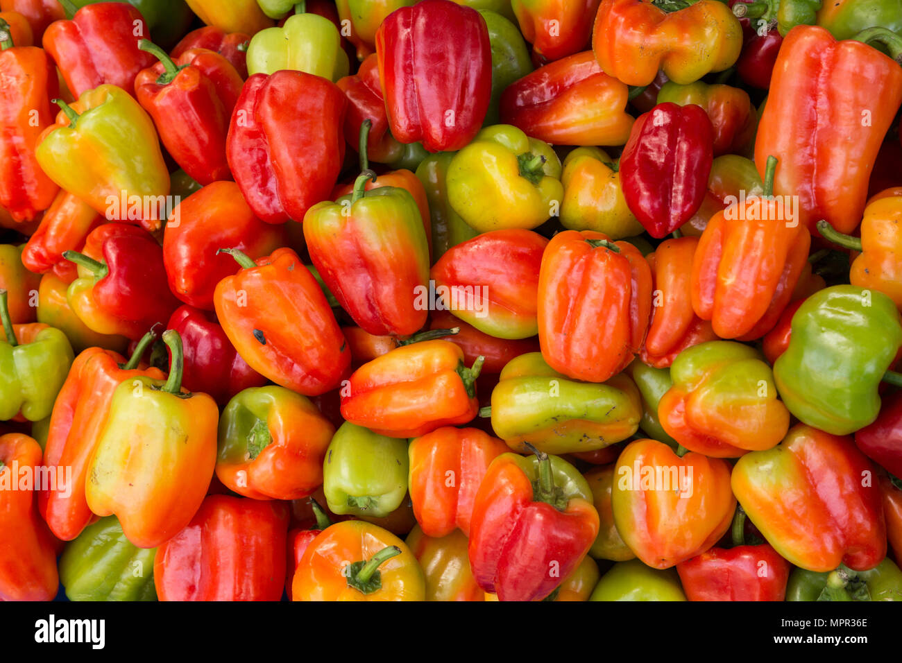 peppers for sale in the market Stock Photo - Alamy