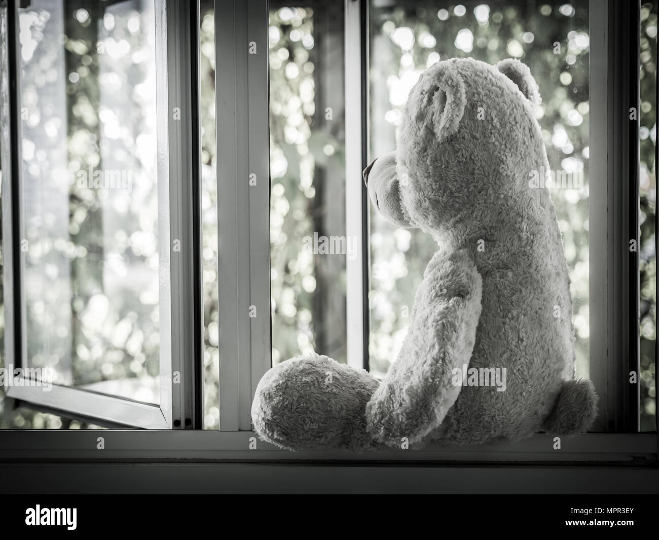 Lonely Teddy Bear Sitting on the window looking out side  (Concept about love) Stock Photo