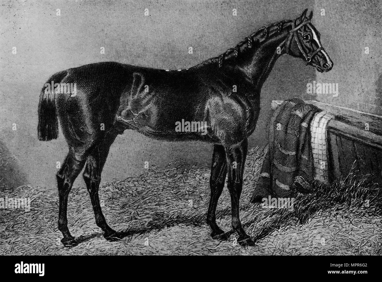 Puta Black and White Stock Photos & Images - Alamy
