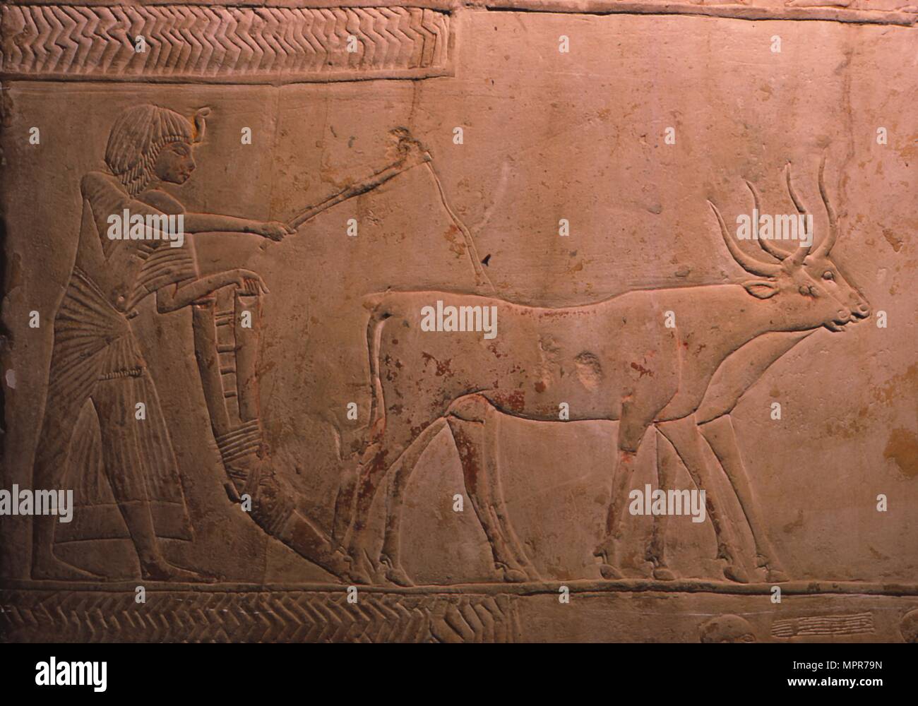 Ploughing from an Egyptian Stele, 18th Dynasty, 1332BC-1323 BC. Artist: Unknown. Stock Photo