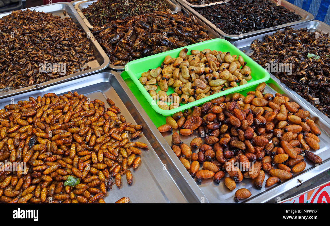 Fried locusts, caterpillars and kakalaks, Chillva Market, Phuket, Thailand Stock Photo