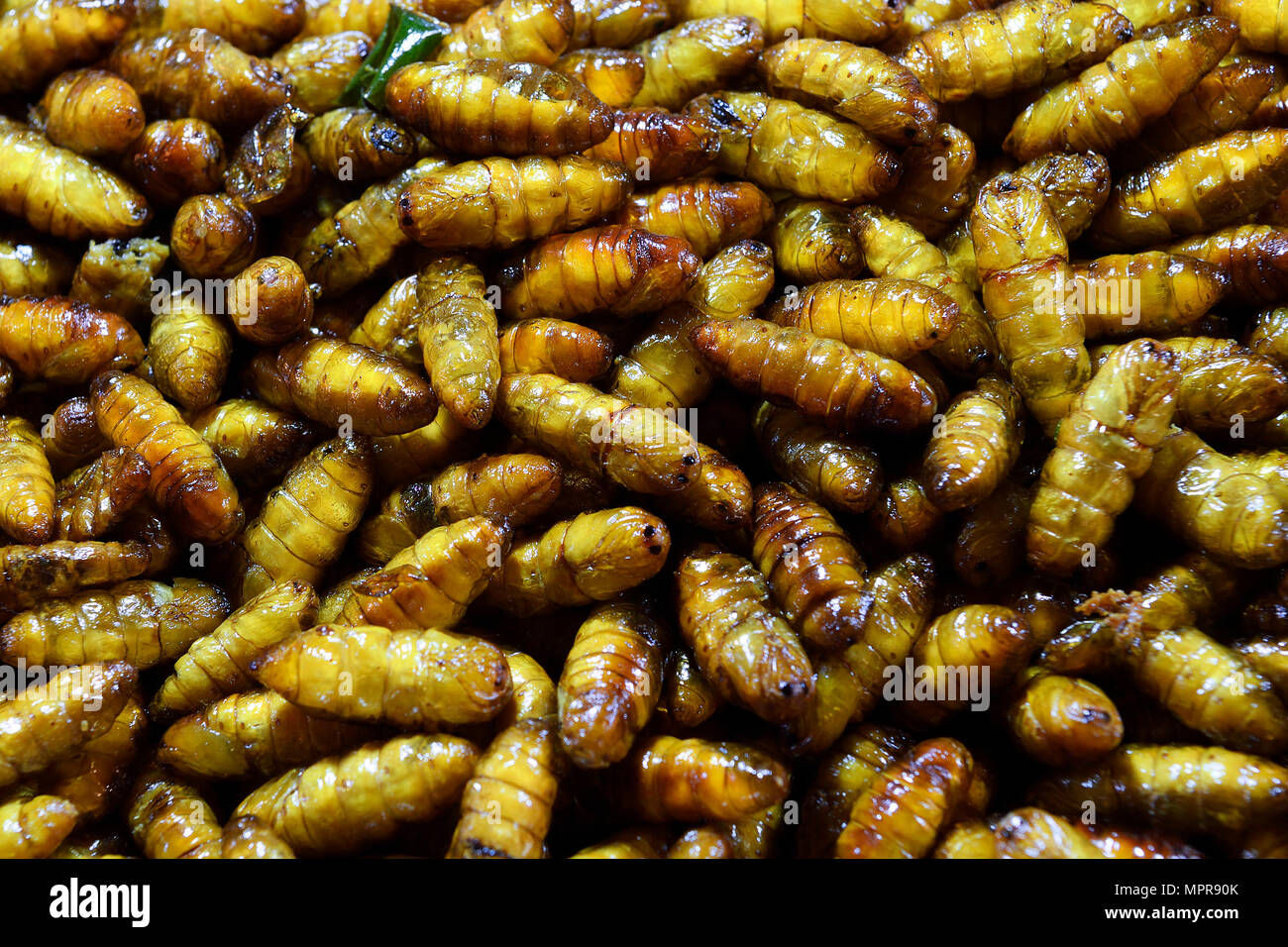 Fried pupated caterpillars, Chillva Market, Phuket, Thailand Stock Photo