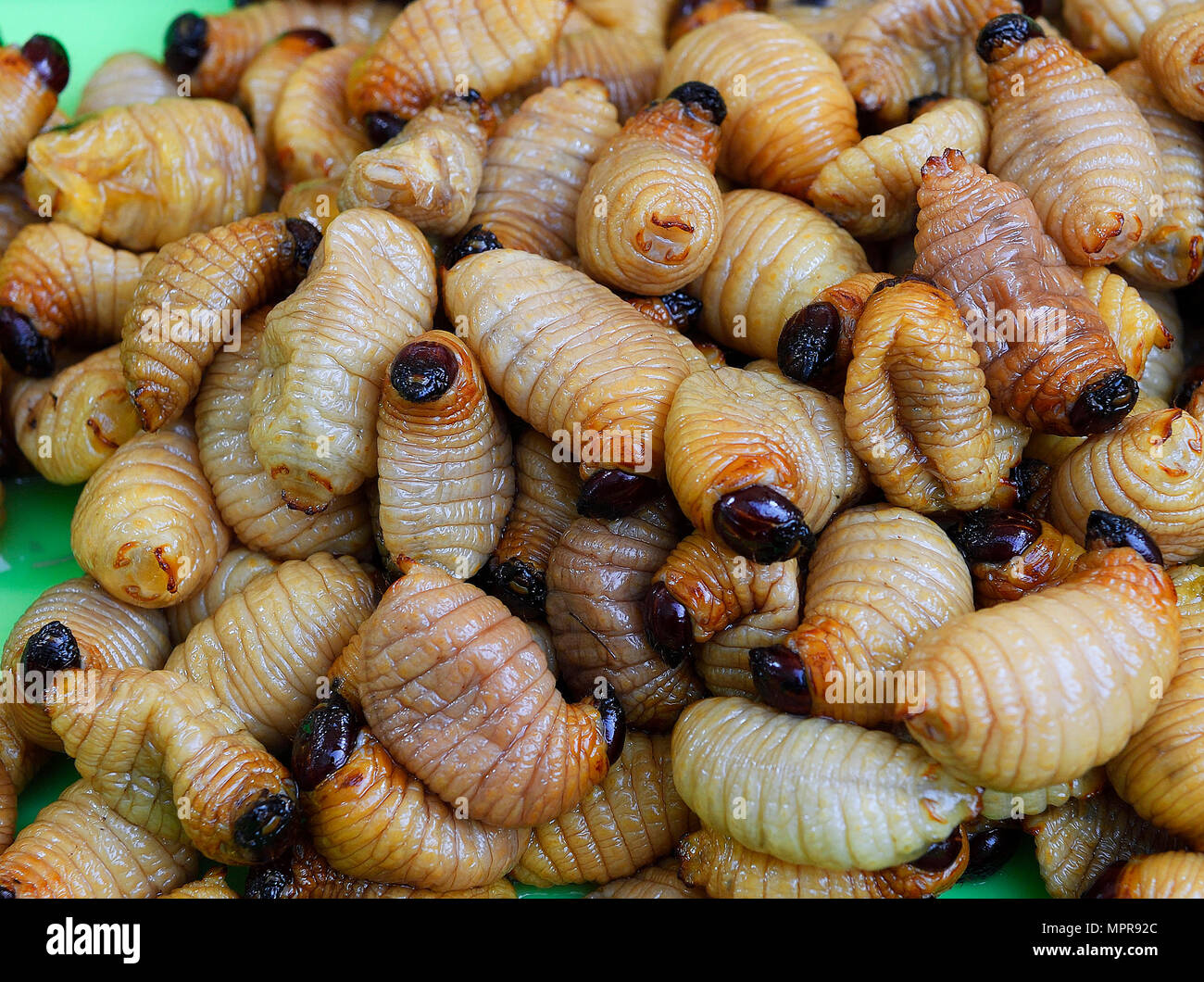 Fried caterpillars, Chillva Market, Phuket, Thailand Stock Photo