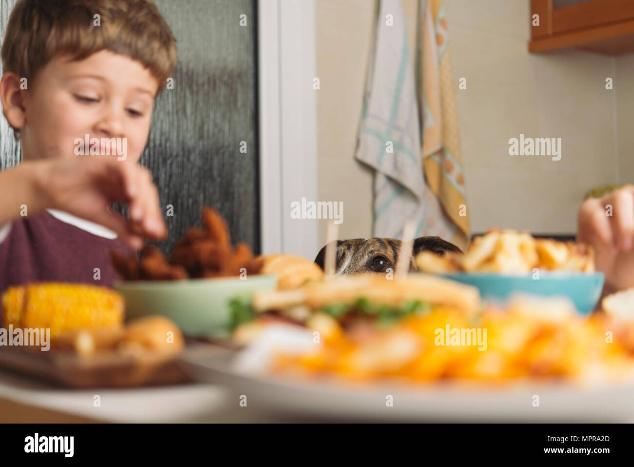 Boy at dining table hi-res stock photography and images - Alamy