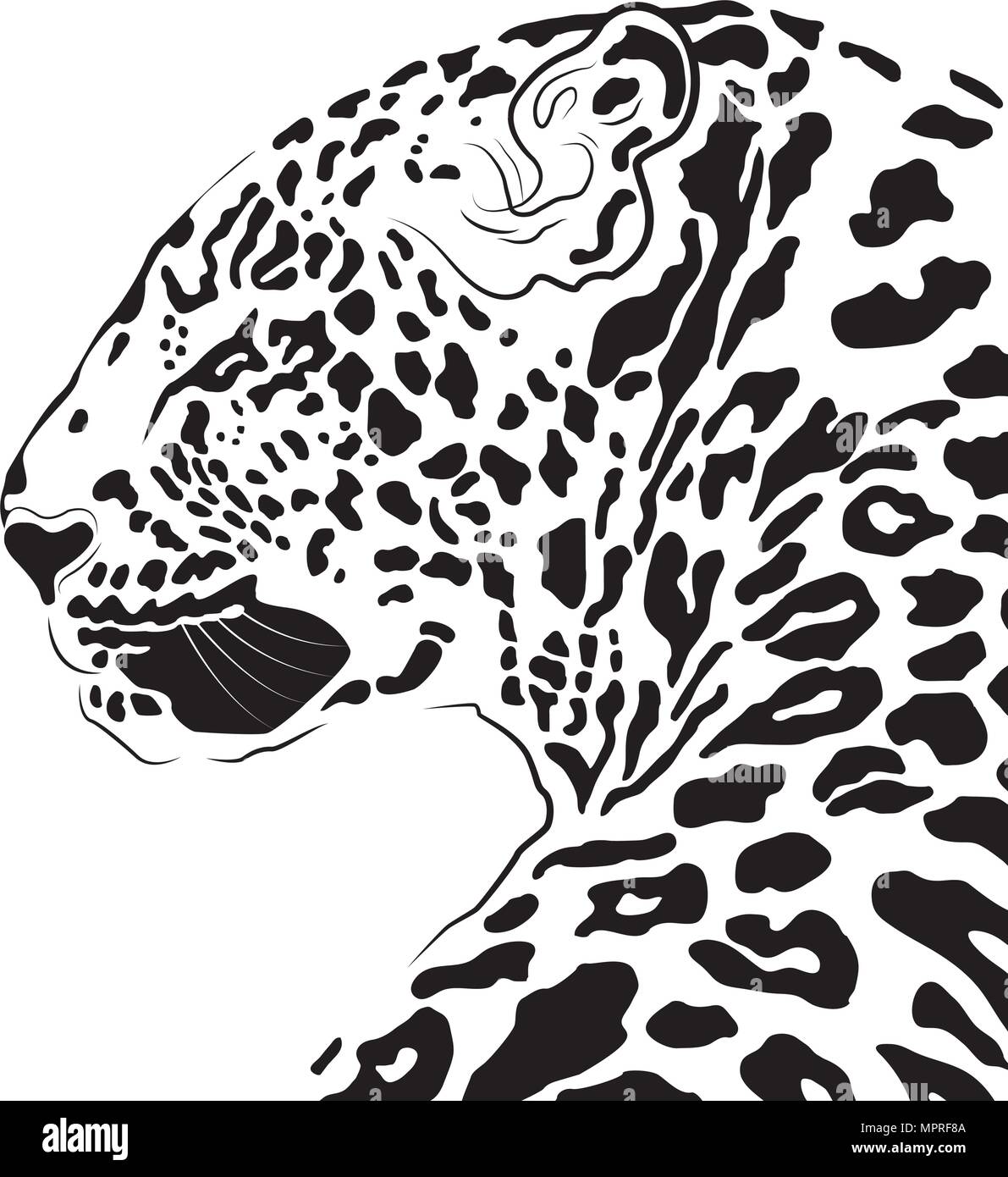 Tiger Head Silhouette Vector Stock Vector Image Art Alamy