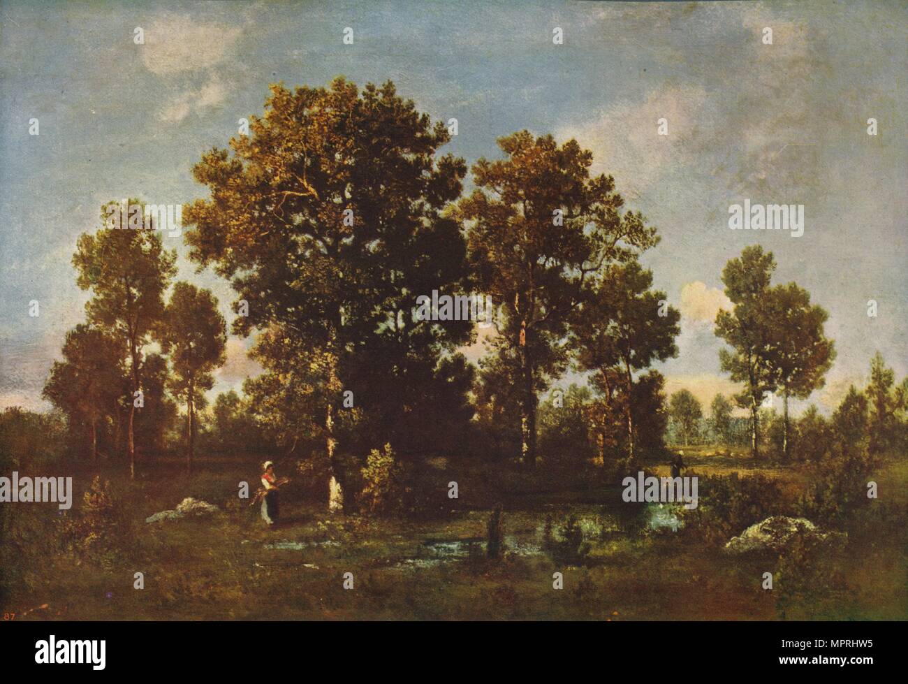 'Sunny Days in the Forest', c1850, (c1915). Artist: Narcisse Virgile Diaz de la Pena. Stock Photo