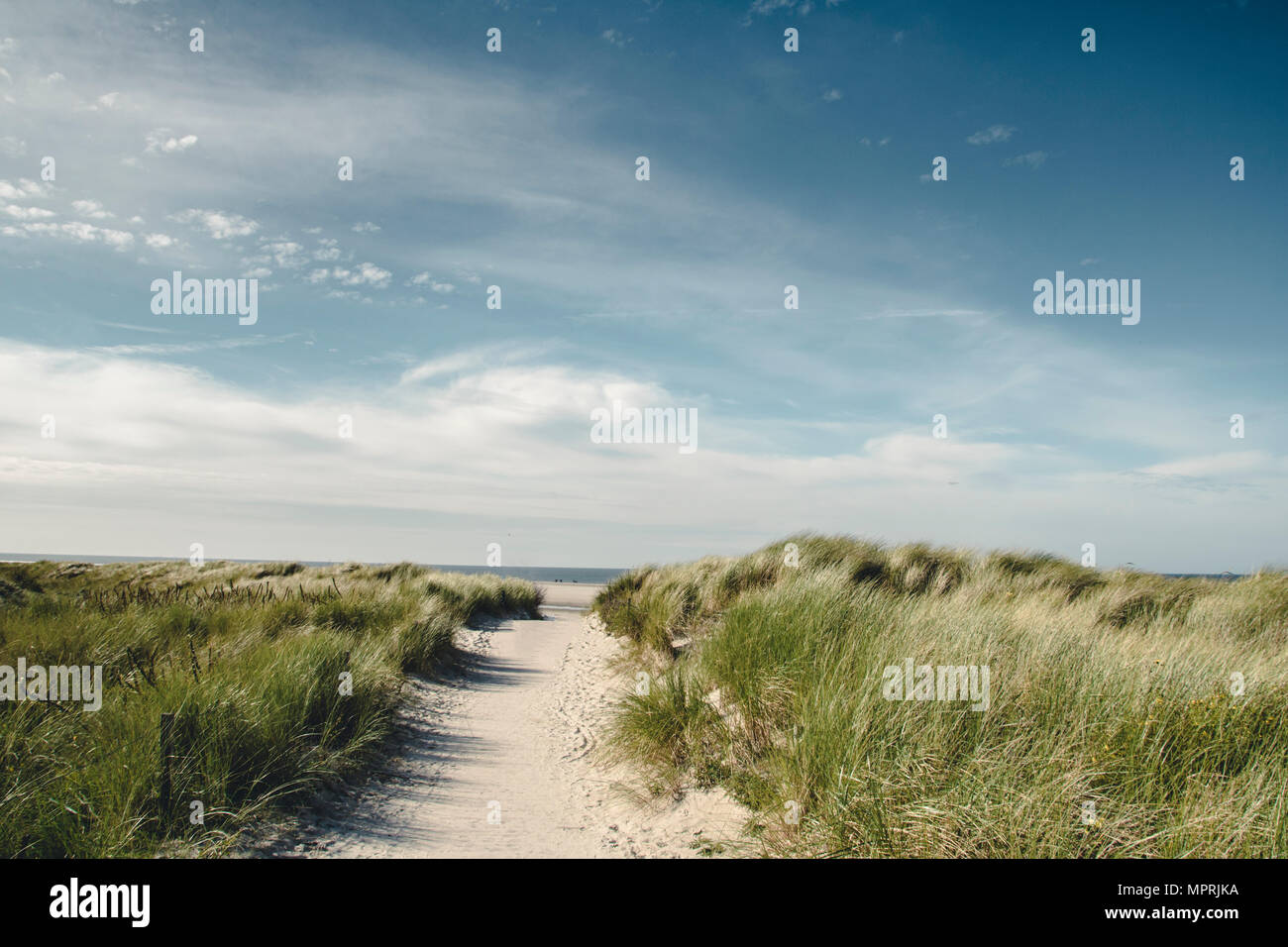 Germany, Spiekeroog, path through dunes Stock Photo