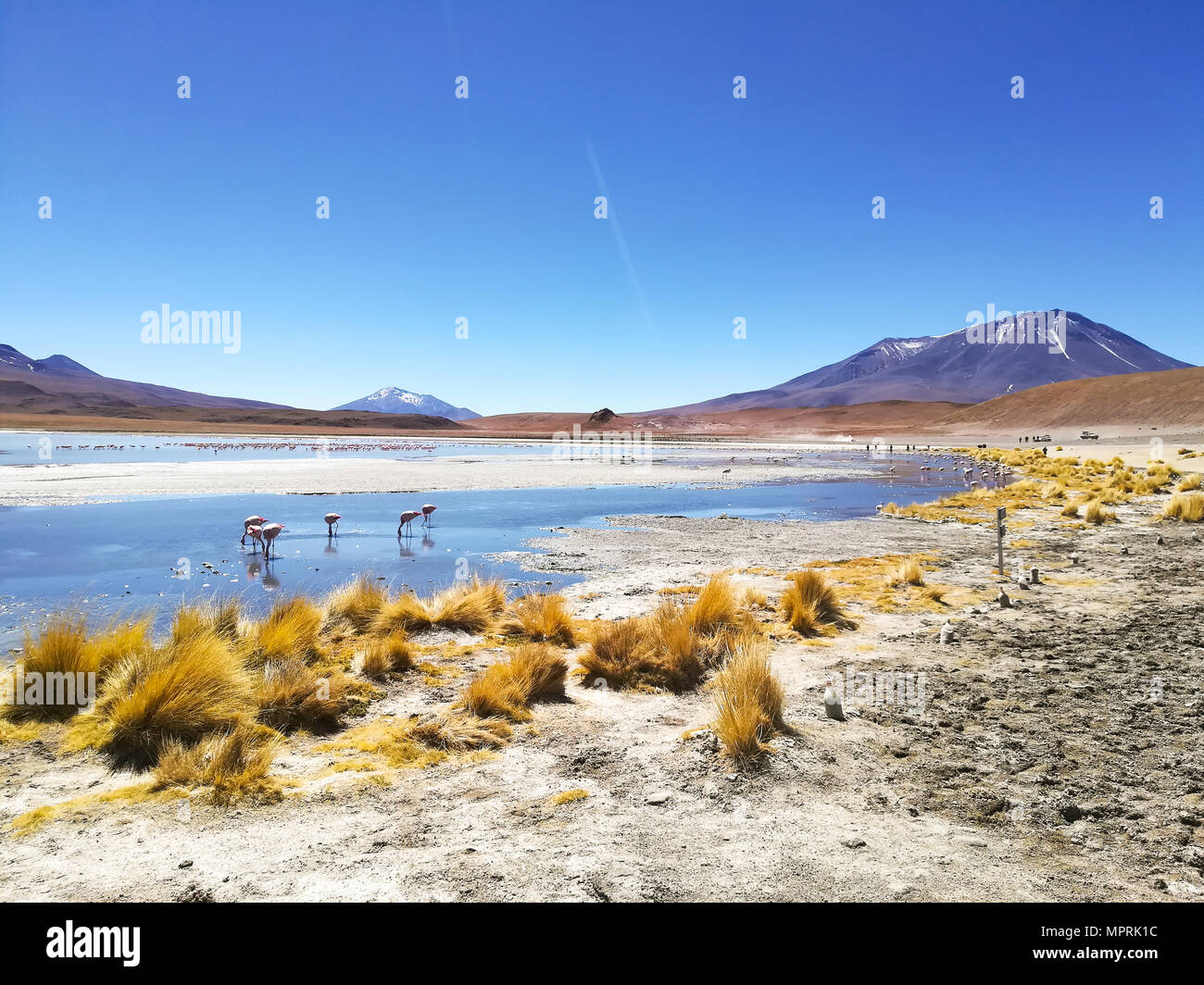 Laguna Hedionda landscape,Bolivia. Beautiful bolivian panorama. Blue water lagoon Stock Photo