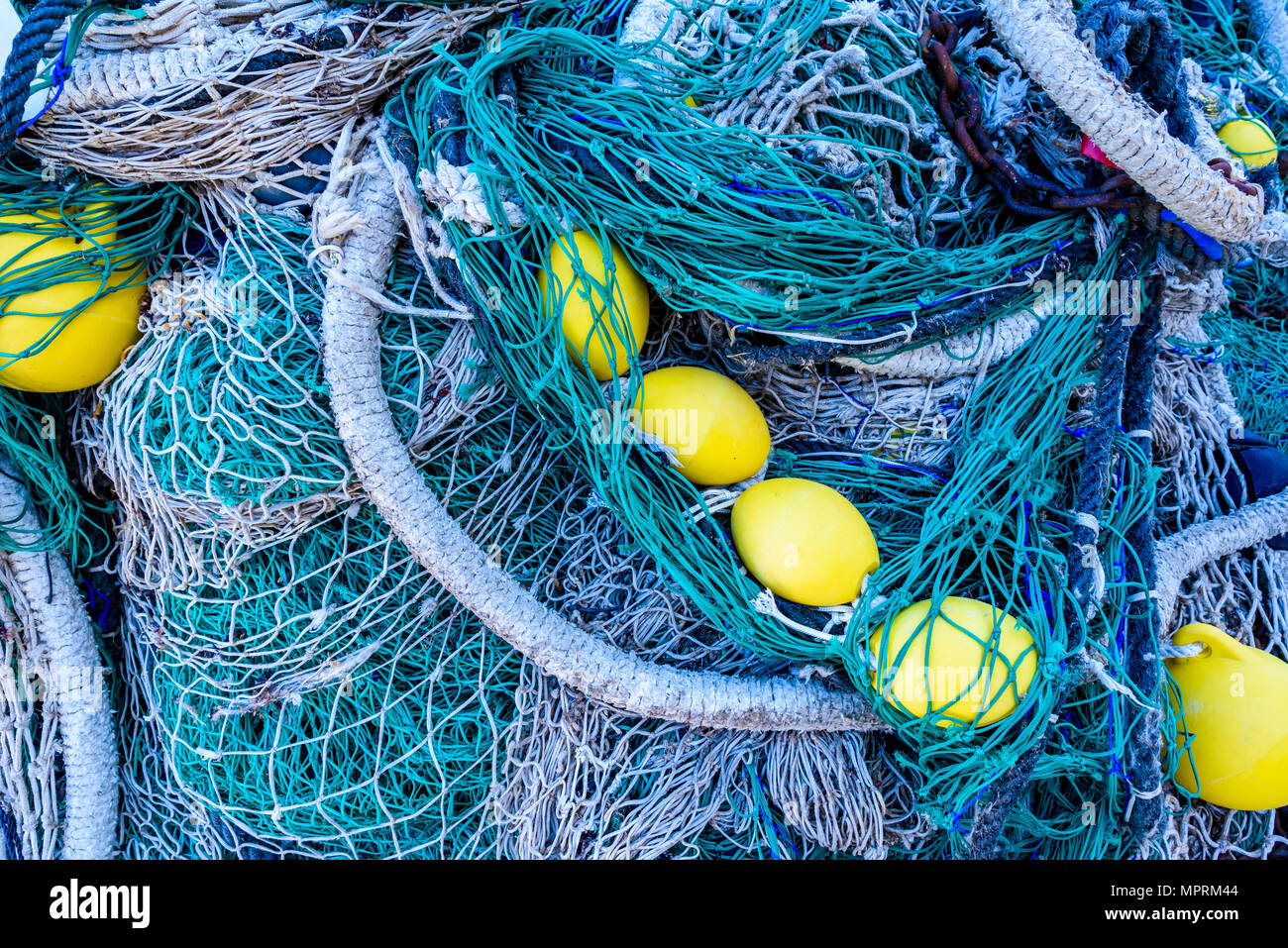 fisher net