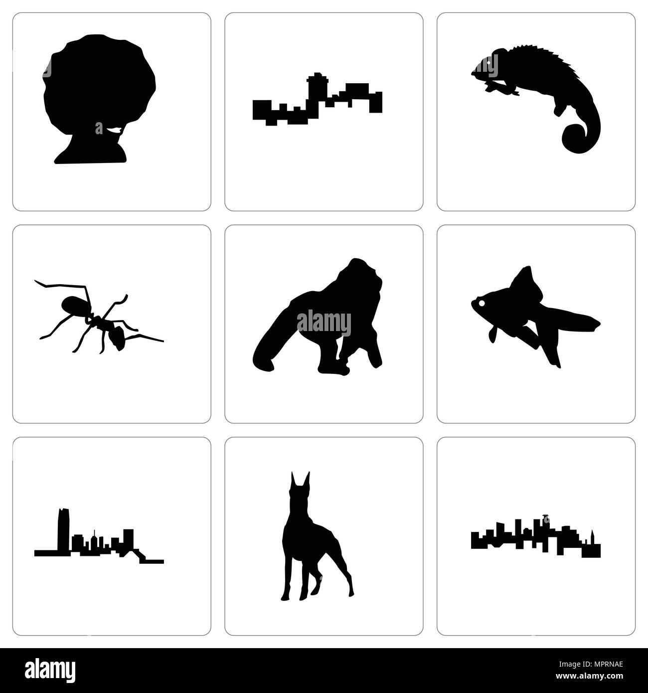 Set Of 9 simple editable icons such as minnesota, doberman, oklahoma, goldfish, gorilla, ant, chameleon, montana, afro, can be used for mobile, web Stock Vector