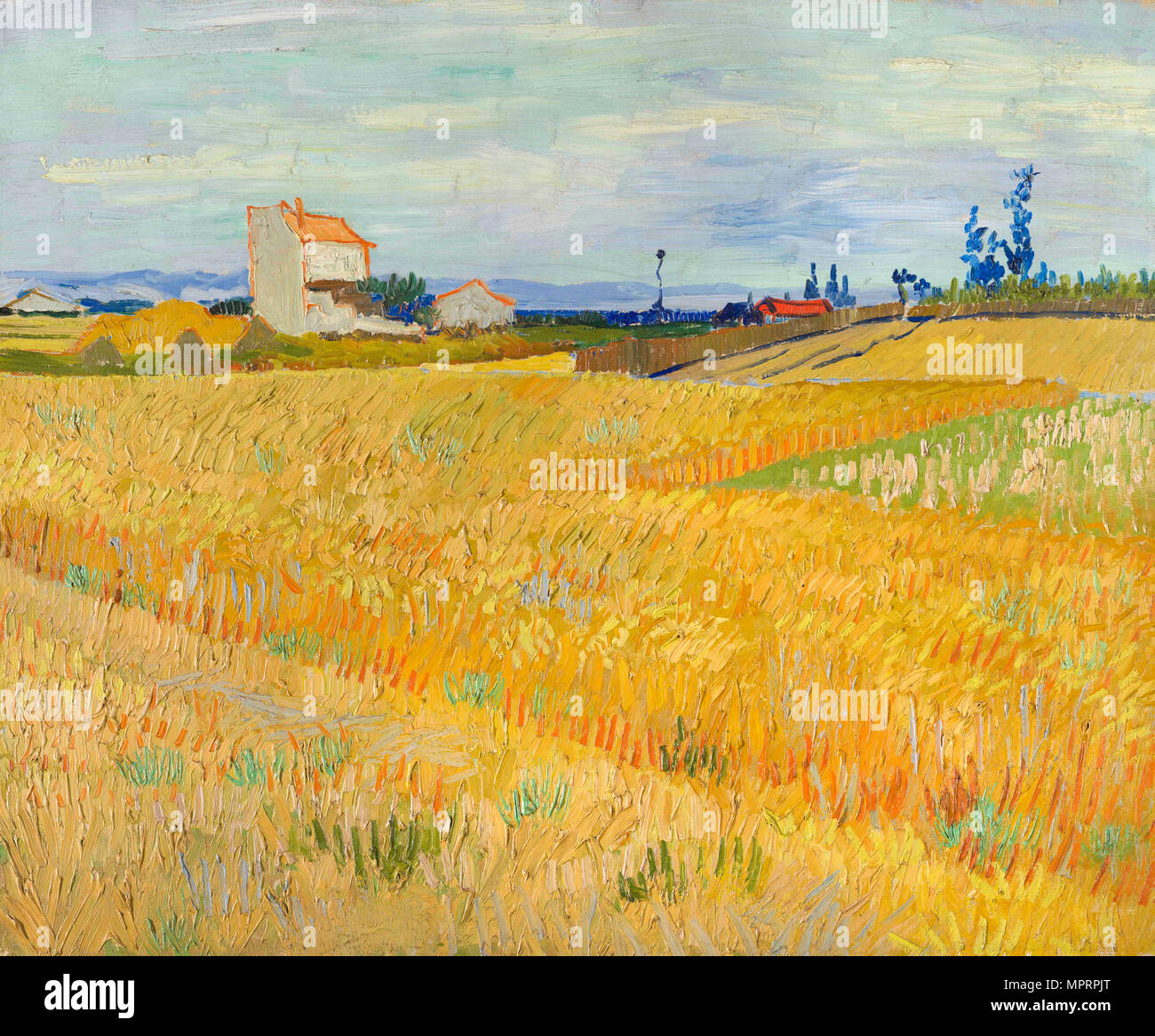 Wheat Field (Champ de blé), 1888. Stock Photo