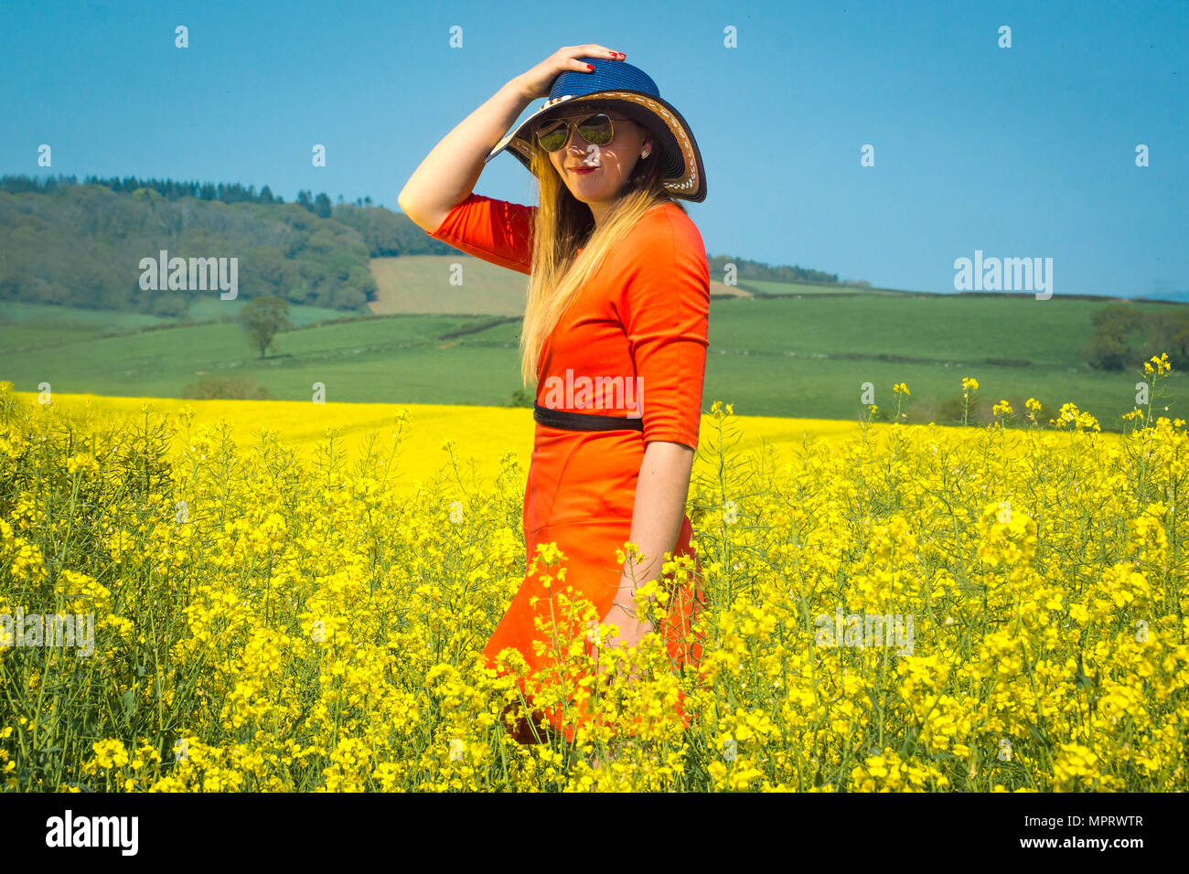 A young woman wearing a red dress in the yellow fields of rapeseed ...