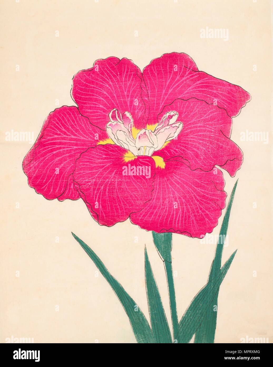 Kagari-Bi, No. 38, 1890, (colour woodblock print) Stock Photo