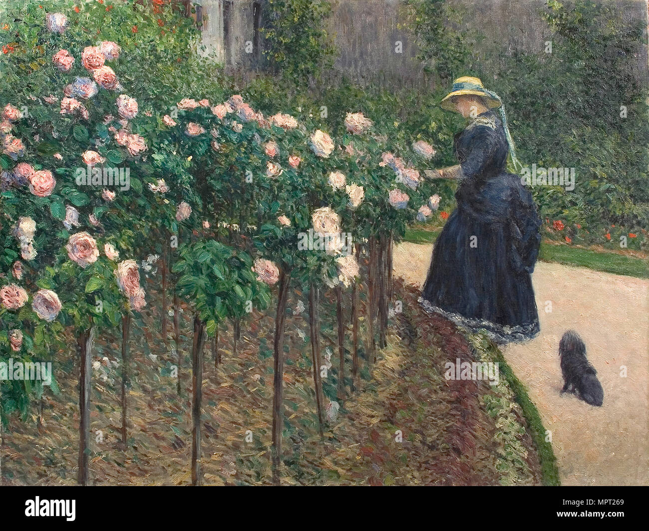 Roses, Garden at Petit Gennevilliers, 1886 Stock Photo Alamy