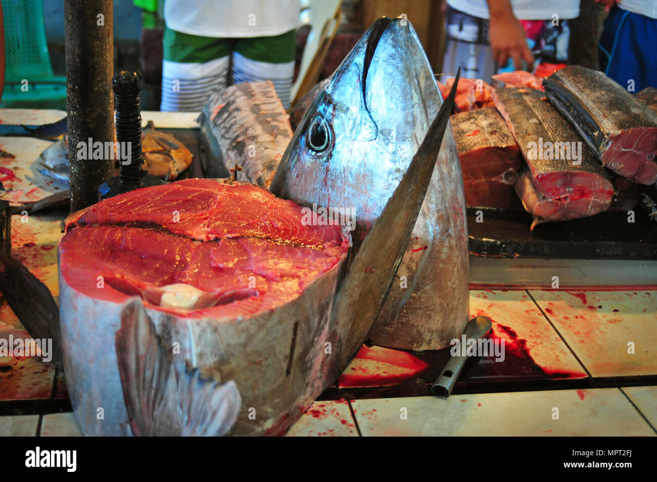 Fish Market, Baler, Philippines Stock Photo