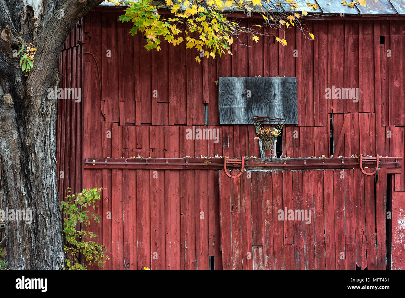 An neglected basketball hoop mounted on a rural red barn, New York, USA. Stock Photo