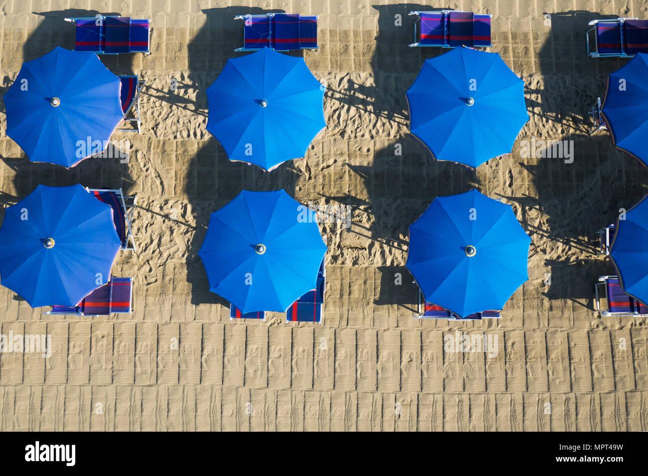 Bird's eye view of colored umbrella in a beach in italy, Tuscany
